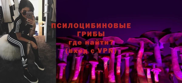 гидропоника Алзамай