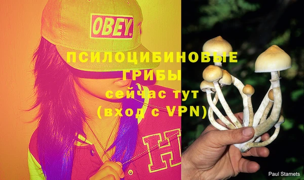 гидропоника Алзамай