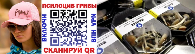 Псилоцибиновые грибы Psilocybe  Ковылкино 